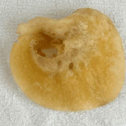 牙简翅 SHARKFIN NGAN KAN