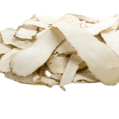 白芷片 (Angelica Dahurica Slices / Hirisan Angelica)