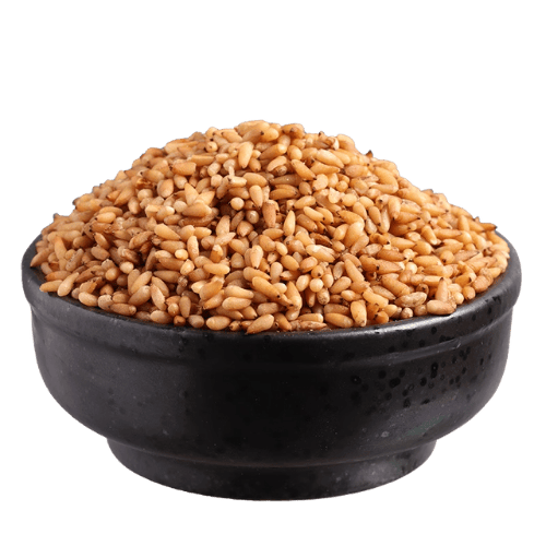 柏子仁肉 (Arborvitae Seed Kernel/Biji Arborvitae (Isi))
