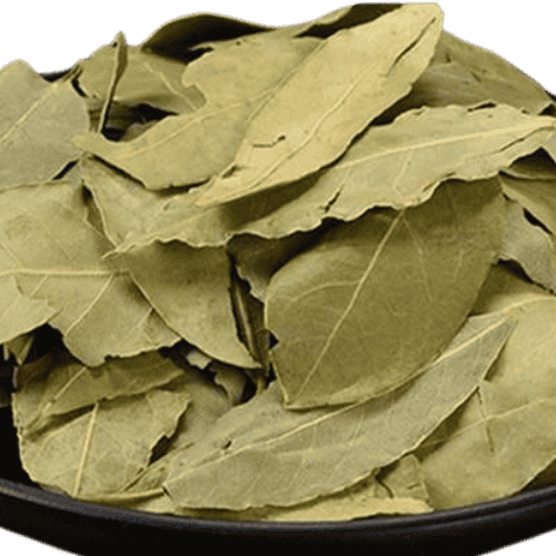 月桂 (Bay Laurel/Daun Salam)