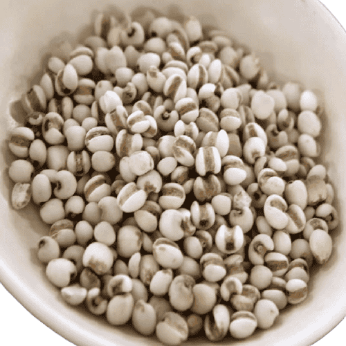 中国薏米 (China Barley/Jelai China)