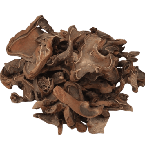 齐狗脊片 (Cibotium Rhizome/Rizom Cibotium)