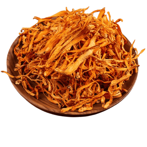 虫草花 (Cordyceps Flower/Bunga Cordyceps)