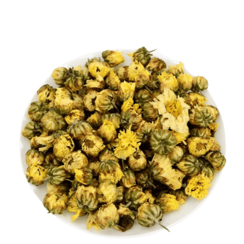 菊花  Crysanthemums