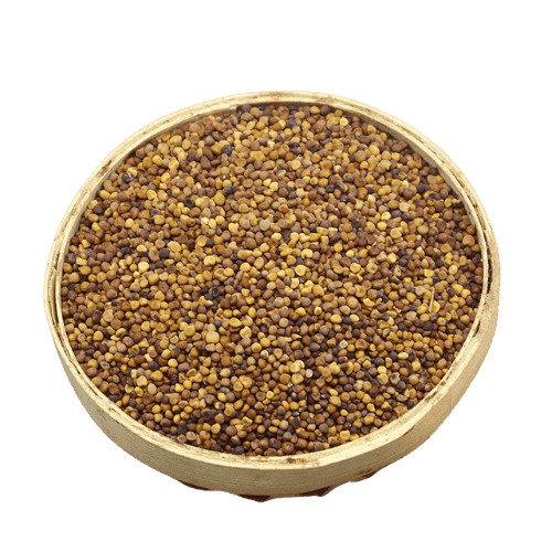 菟丝子 (Cuscuta Seed/Biji Dodder)