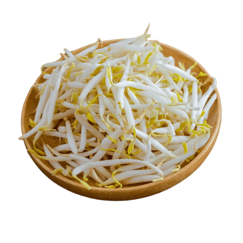 豆芽 - Dou Ya (Bean Sprouts) - Taugeh