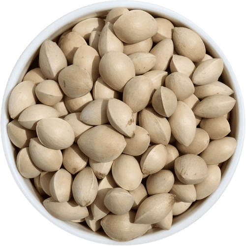 干白果壳 (Dried Gingko Nut Shells/Kulit Buah Ginkgo Kering)