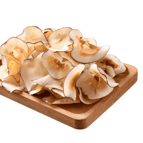 Dried Sea Coconut Slices (干海底椰片)