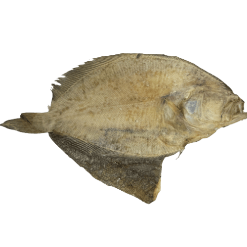 大地鱼肉 (Dried Sole Fish Meat/Isi Ikan Sebelah Kering)