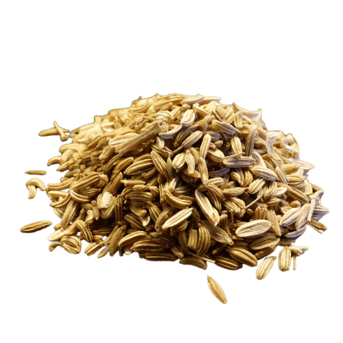 茴香籽 (Fennel Seeds/Biji Adas)