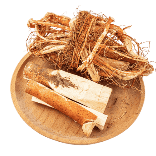 五指毛桃 (Figleaf Castor Oil Plant Root/Akar Kacang Jarak Hutan)