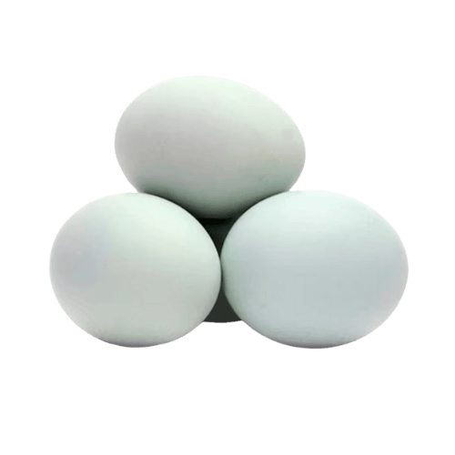 新鲜鸭蛋 (Fresh Duck Eggs / Telur Itik Segar)