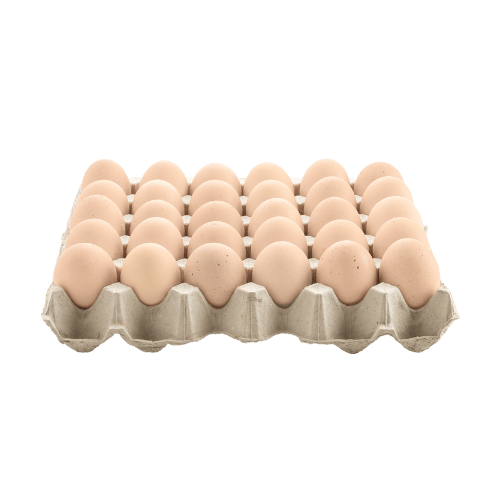 新鲜菜园蛋 (Fresh Kampung Eggs - White Shell / Telur Kampung Segar - Kulit Putih)