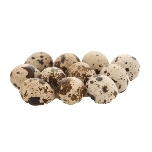新鲜鹌鹑蛋 (Fresh Quail Eggs / Telur Puyuh Segar)