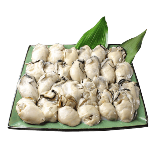 冷冻日本特大蚝 (Frozen Extra Large Japanese Oysters Tiram Jepun Beku Saiz Besar (3L))