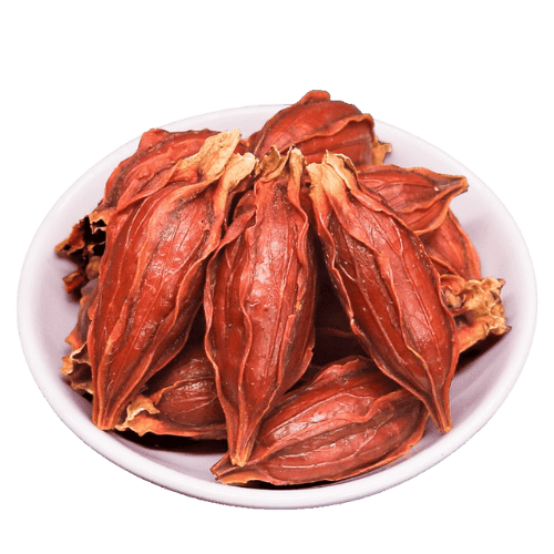 山栀子 (Fructus Gardeniae/Buah Gardenia)