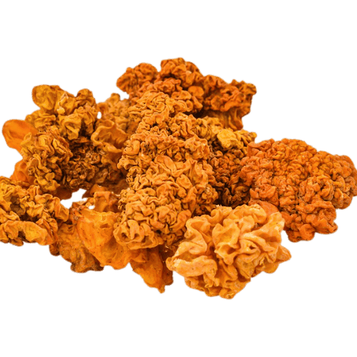 黄耳 (Golden Ear Fungus/Kulit Tremella Kuning)