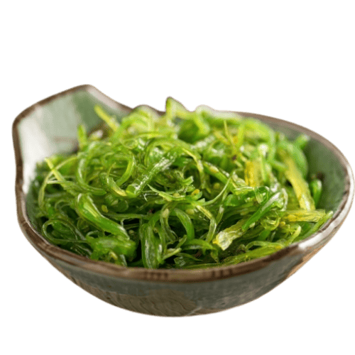 日本海草 (Japanese Seaweed/Rumpai Laut Jepun)