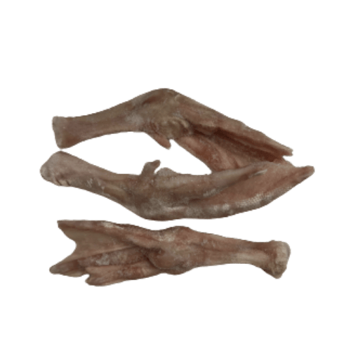 大鹅掌 (Large Goose Feet/Kaki Angsa Besar)