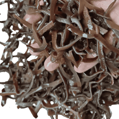 大木耳 丝 (Large Wood Ear Mushroom Strips/Jalur Cendawan Telinga Tikus Besar)