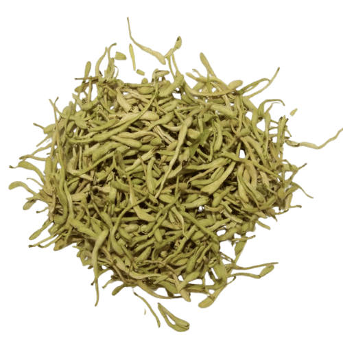 金银花 Lonicera Japonica