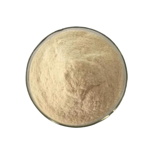 麦芽粉 (Malt Powder / Serbuk Malt)