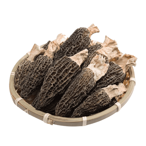 羊肚菌 (Morel Mushroom/Cendawan Morel)