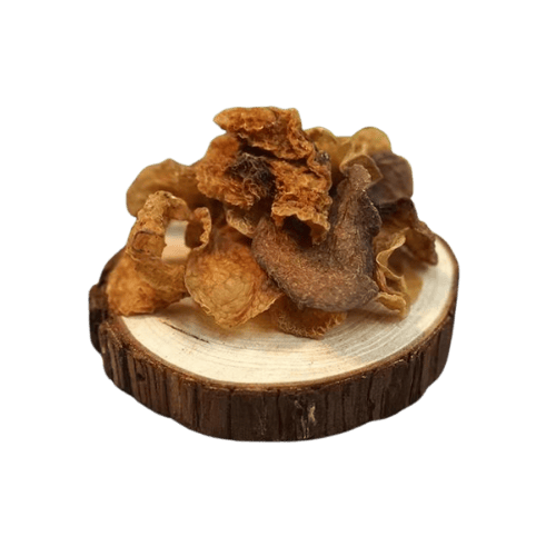 羊肚耳 (Morel Mushroom/Cendawan Morel)