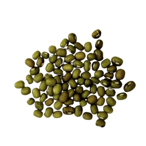 Mung Beans (Kacang Hijau Argentina/阿根廷绿豆)