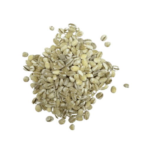 荷兰薏米 (Pearl Barley/Barli Mutiara Belanda)