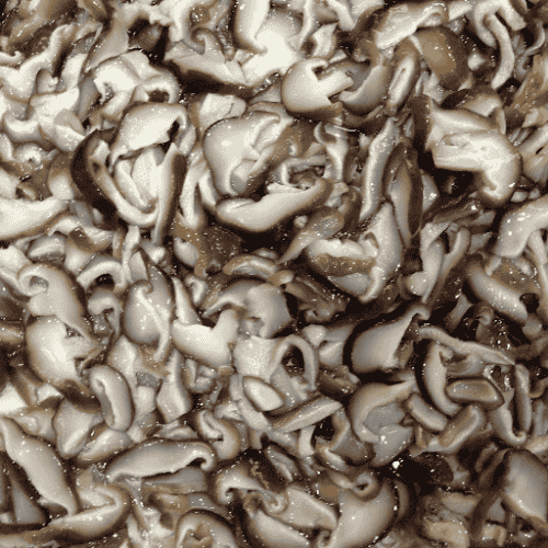 泡发好冬菇切片 (Pre-soaked &amp; Sliced Shiitake Mushrooms/Cendawan Shitake Hiris Siap Rendam)