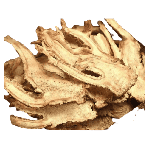 生原归片 (Radix Angelicae Sinensis, Raw/Akar Dang Gui Mentah)
