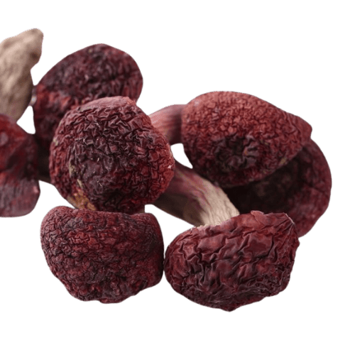 红菇 (Red Mushroom/Cendawan Merah)