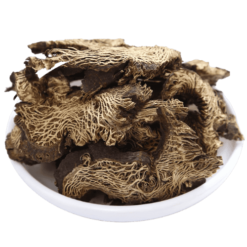 升麻片 (Rhizoma Cimicifugae/Rizom Cimicifuga)