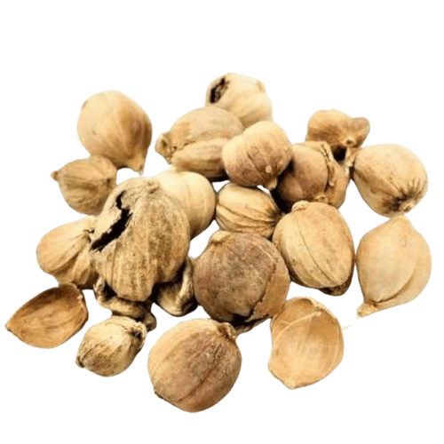 白豆蔻 (Round Cardamom/Buah Pelaga Bulat)