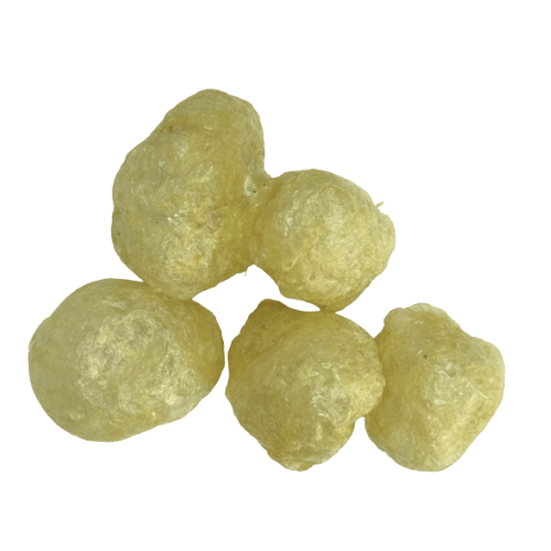 Sang Kan (生根/Tauhu Goreng Berongga)