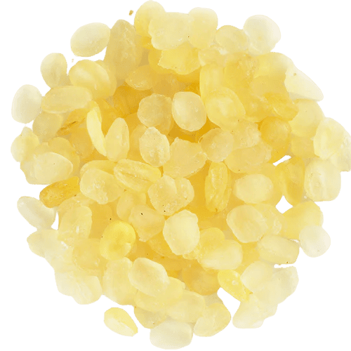 Saussurea Seed (天山雪莲子)