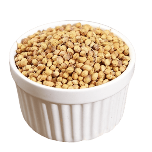 芫西种子 (Seed Ketumbar/Coriander Seeds)