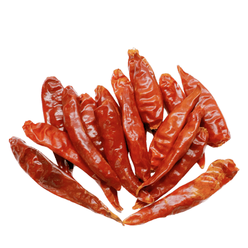 四川朝天椒 (Sichuan Facing Heaven Chili/Cili Api Sichuan)