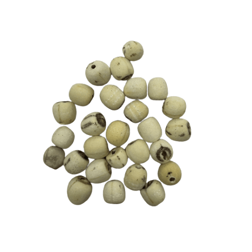 莲子干 (Dried Lotus Seeds/Biji Teratai Kering)