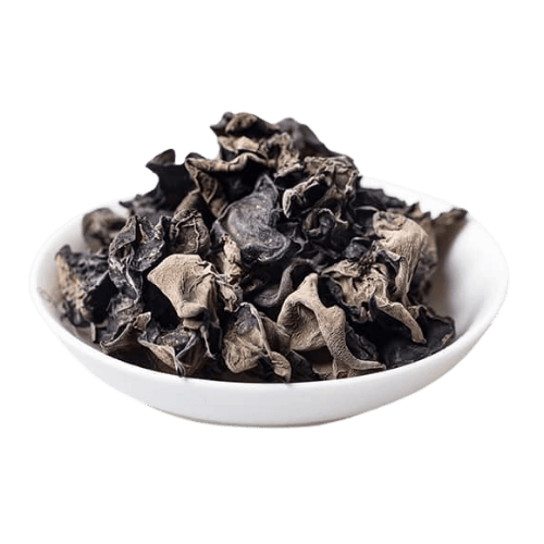 小云耳 (Small Cloud Ear Mushroom/Cendawan Telinga Tikus Kecil)