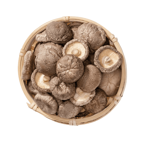 光面菇 (Smooth Surface Mushroom/Cendawan Permukaan Licin)