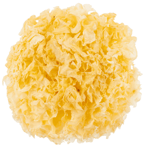 雪耳 (Snow Fungus/Kulit Tremella)