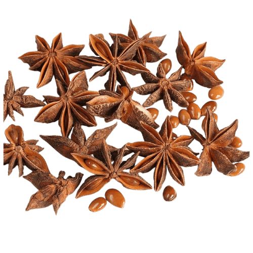 八角 (Star Anise/Bunga Lawang)
