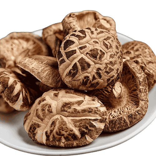 茶花菇 (Tea Flower Shiitake Mushroom/Cendawan Shitake Bunga Teh)