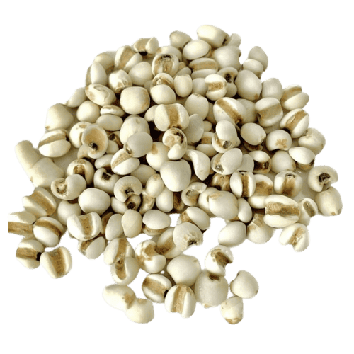 泰国薏米 (Thai Barley/Jelai Thailand)