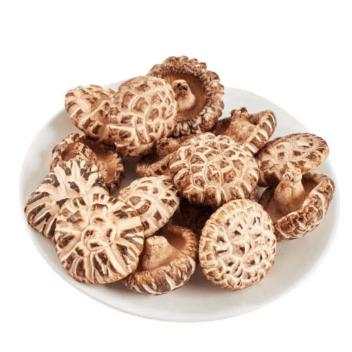 白花菇 (White Flower Shiitake Mushroom/Cendawan Shitake Bunga Putih)