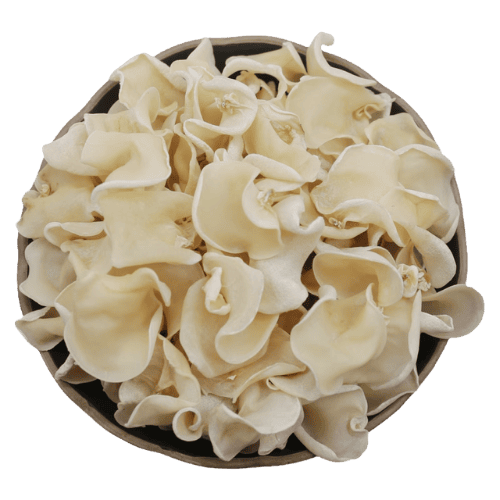 白玉耳 (White Jade Fungus/Kulit Tremella Putih)