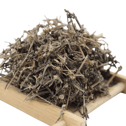Mesona Chinensis (仙人草片/凉粉草)