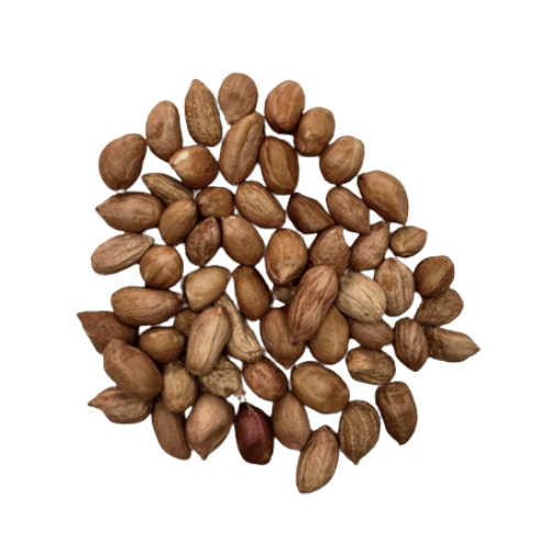 Indian Groundnuts (Peanuts) with Skin (印度花生 (带皮)/Kacang Tanah India)